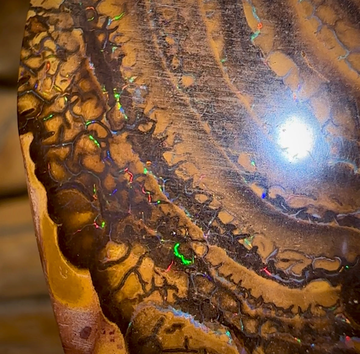 84.4cts - Big Double Sided Australian Boulder Opal. Yowah Tribal Bargain - Opal Whisperers