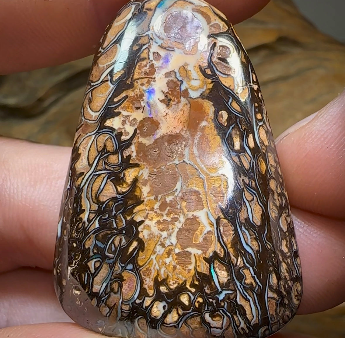 229.8cts - Yowah Nut Opal Specimen Pair. TRIBAL PATTERN - Opal Whisperers