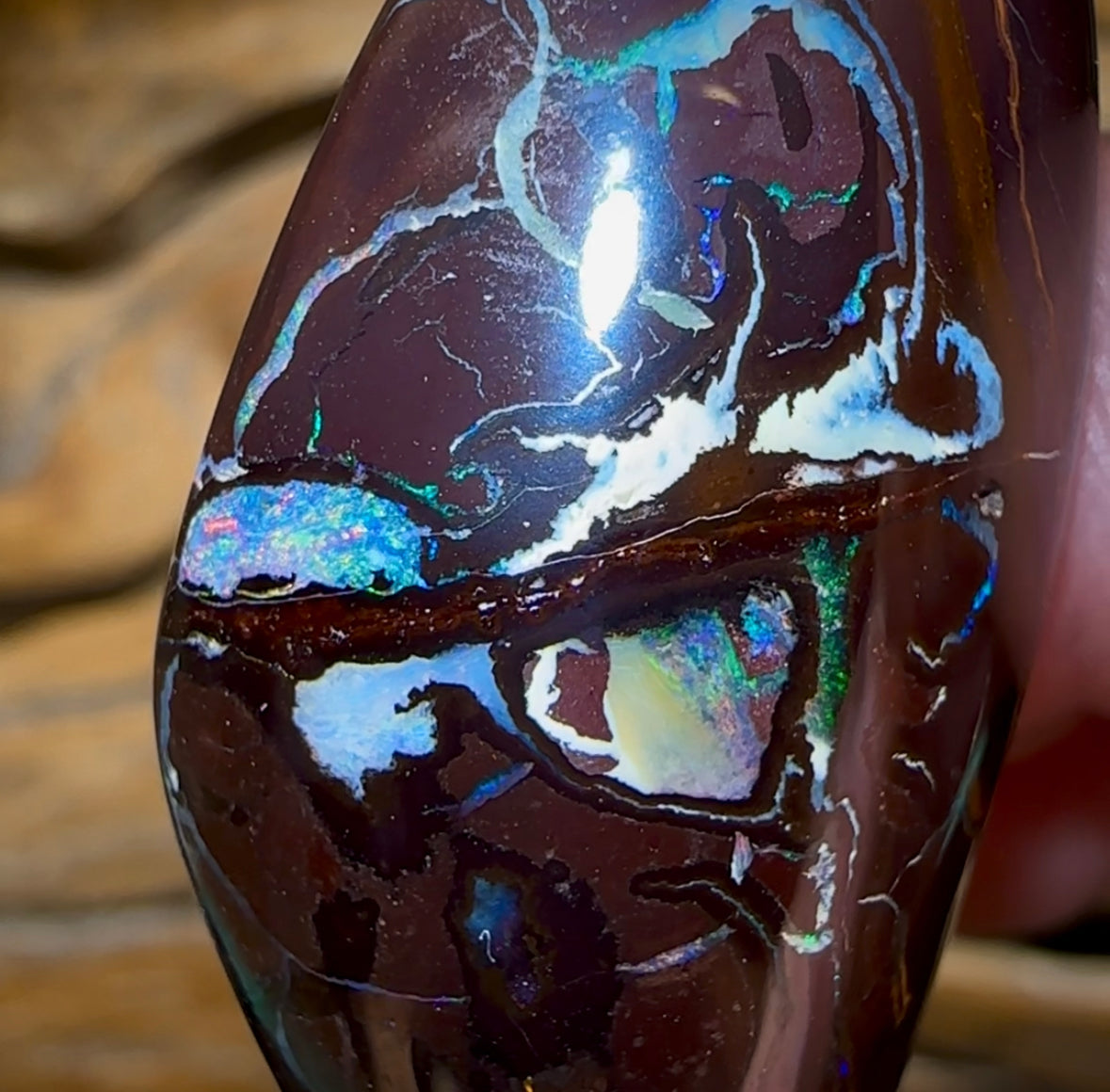 90.3cts - Big Yowah Nut Polished Specimen. Australian Boulder Opal - Opal Whisperers