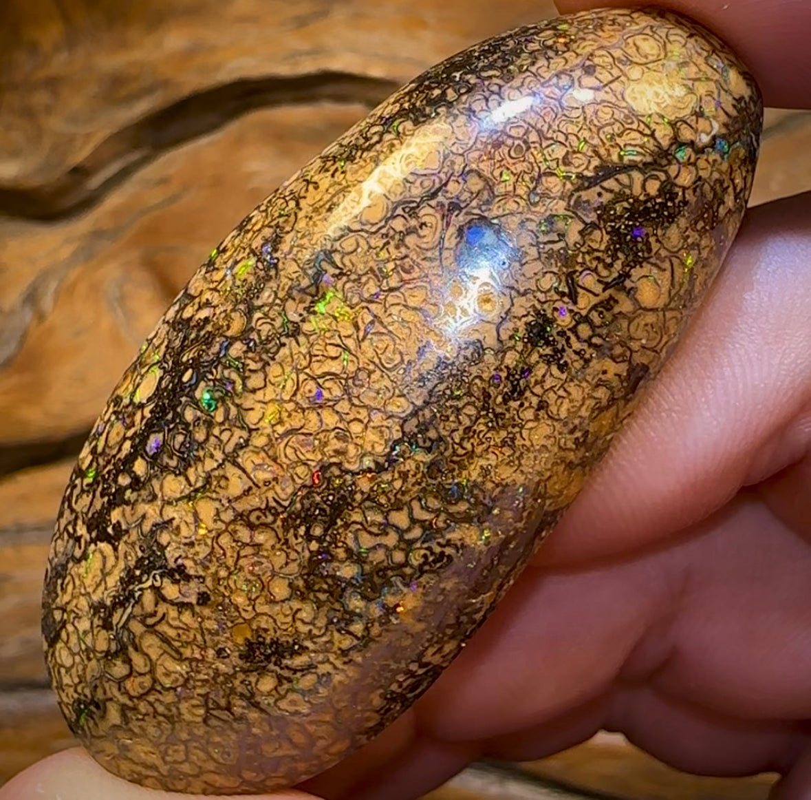 127.8cts - Large Yowah Nut Intricate Tribal Australian Boulder Opal. - Opal Whisperers