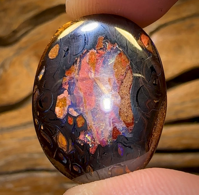🔨 AUCTION 🔨 34.5cts - Yowah Nut Kernel Opal. Australian Boulder Opal