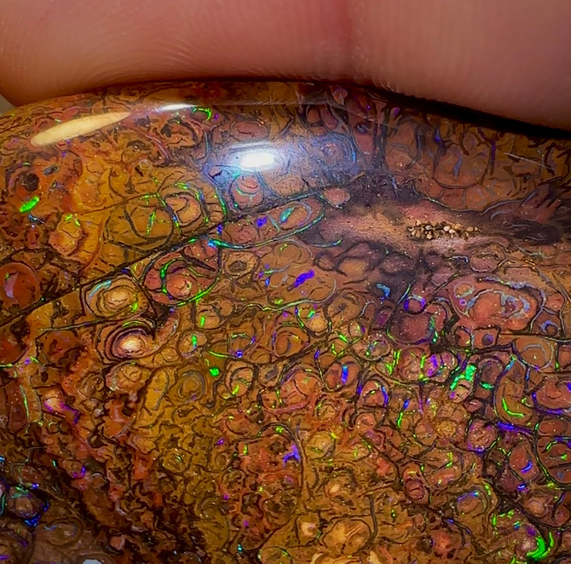 546.6cts - Huge Polished Tribal Yowah Nut Opal Specimen - Opal Whisperers