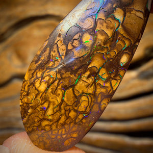 24.9cts - Tan Tribal Yowah Nut Opal. Australian Opal