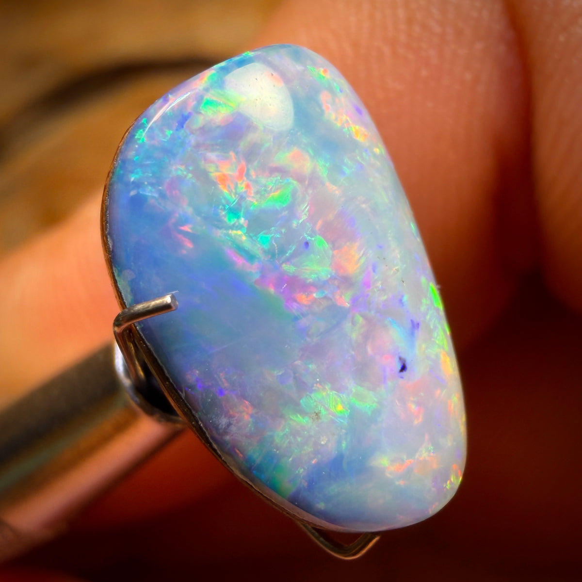 7.5cts - Rare Fossil Shell Australian Opal Doublet
