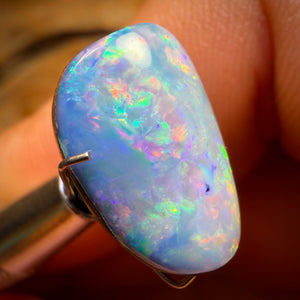 7.5cts - Rare Fossil Shell Australian Opal Doublet