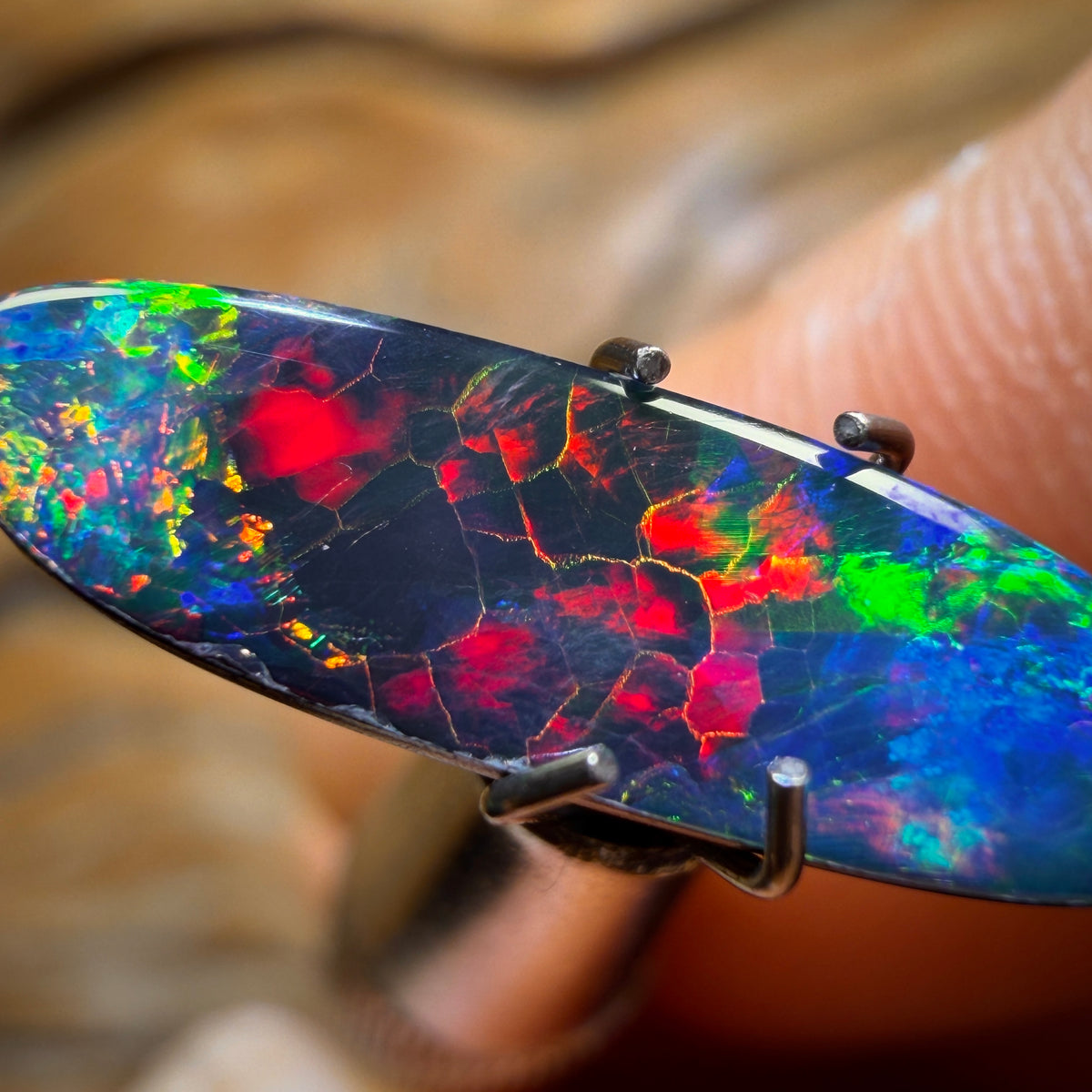 1.6cts - “Solar Flare” Australian Boulder Opal Doublet