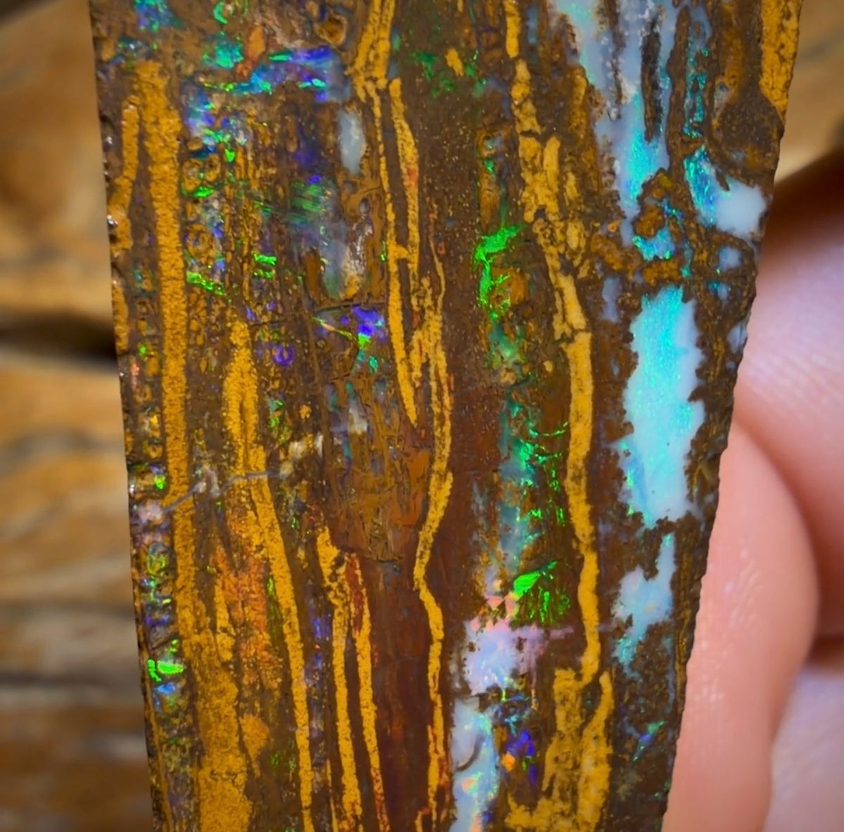 49.9cts - Queensland Boulder Opal Preform Rub