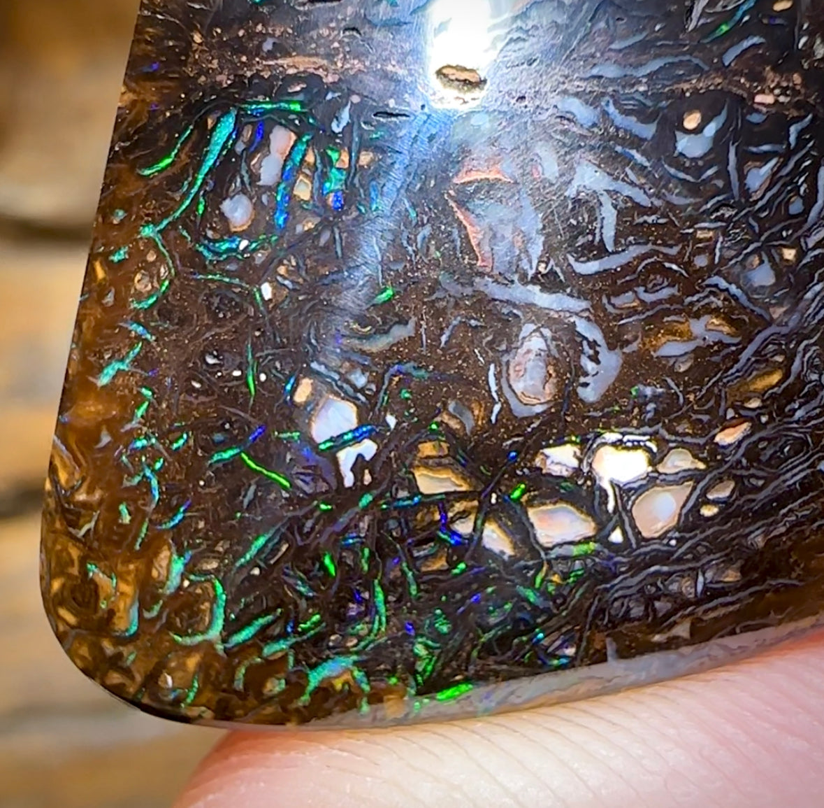 74.2cts - Black Tribal Yowah Nut Opal - Opal Whisperers