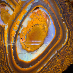 697cts - Large Yowah Nut Partial Crystal Centre Rough Specimen Pair