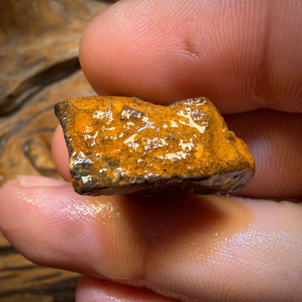 🔨 AUCTION 🔨 No Reserve 42.7cts - Tribal Yowah Nut Opal Rough Piece