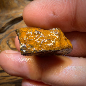 🔨 AUCTION 🔨 No Reserve 42.7cts - Tribal Yowah Nut Opal Rough Piece
