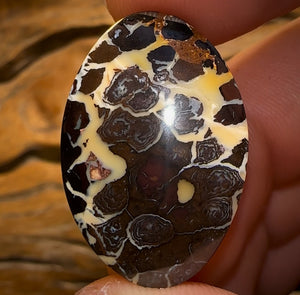 39.3cts - Queensland Boulder Opal Half Price Tribal BARGAIN