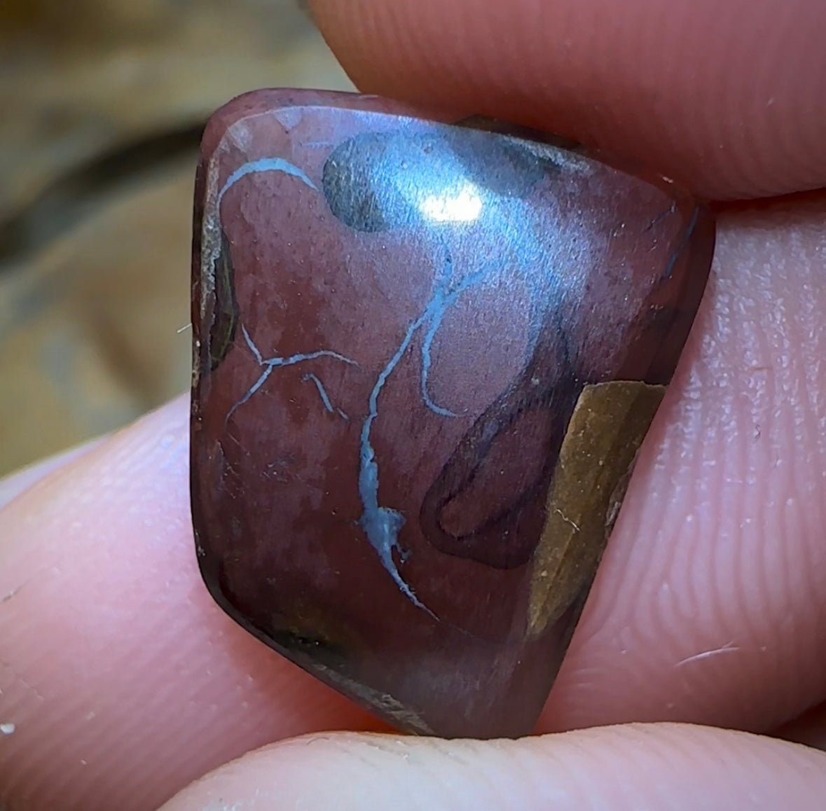 7.4cts - Koroit Crystal Center Nut Boulder Opal, Black Chocolate Ironstone - Opal Whisperers