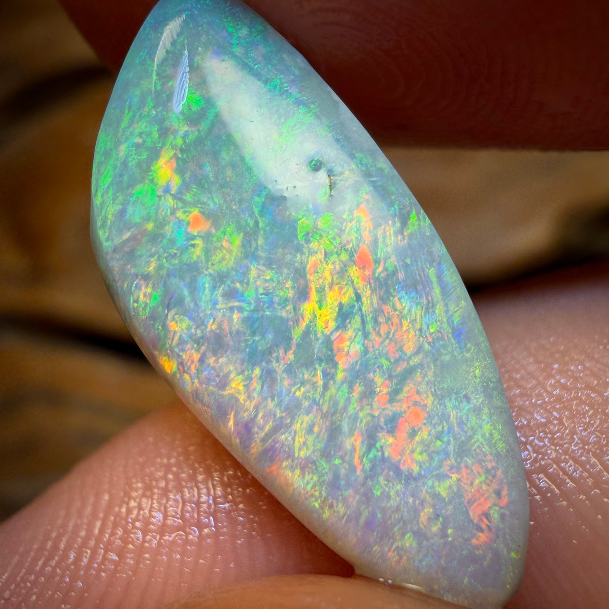 Top Wildcard Rub! 5.5cts - Lightning Ridge Opal Rub