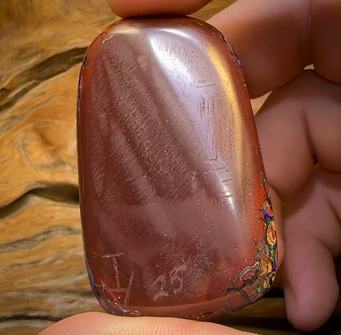 396.1cts - ISAACS CUT!! Large Top Tribal Queensland Boulder Opal Polished Specimen