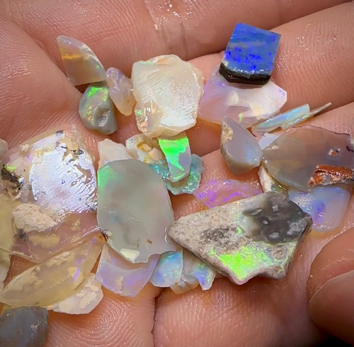 The 48.5cts - 40+ pieces Lightning Ridge Crystal Opal Rough - Opal Whisperers