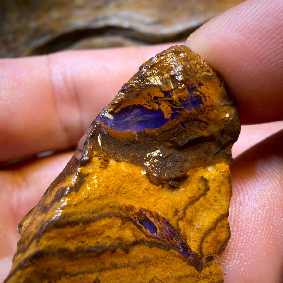 TGIF 410.1cts - 3x Yowah Nut Opal Rough Parcel. Australian Boulder Opal