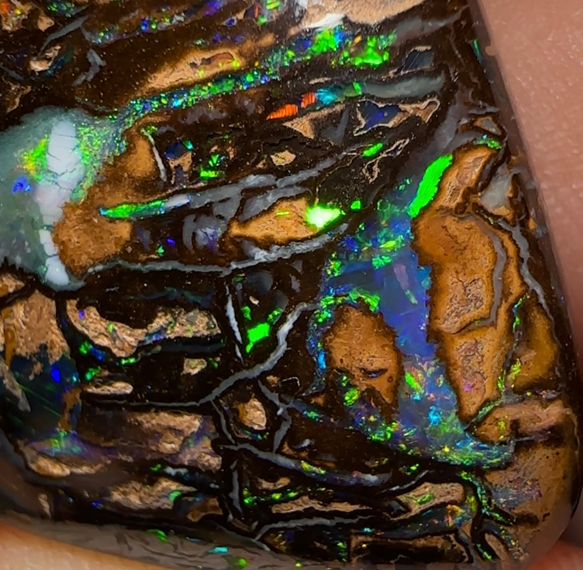 49.1cts - Top Tribal Queensland Boulder Opal. Australian Opal - Opal Whisperers
