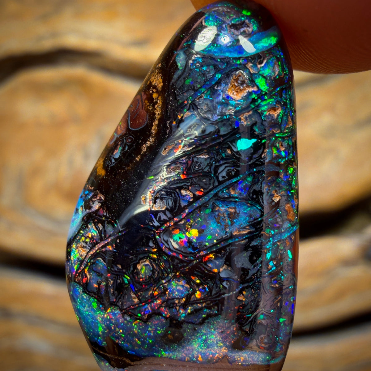 Bargain Banger Card! 26.1cts - TOP Tribal Australian Boulder Opal. Double Sided!