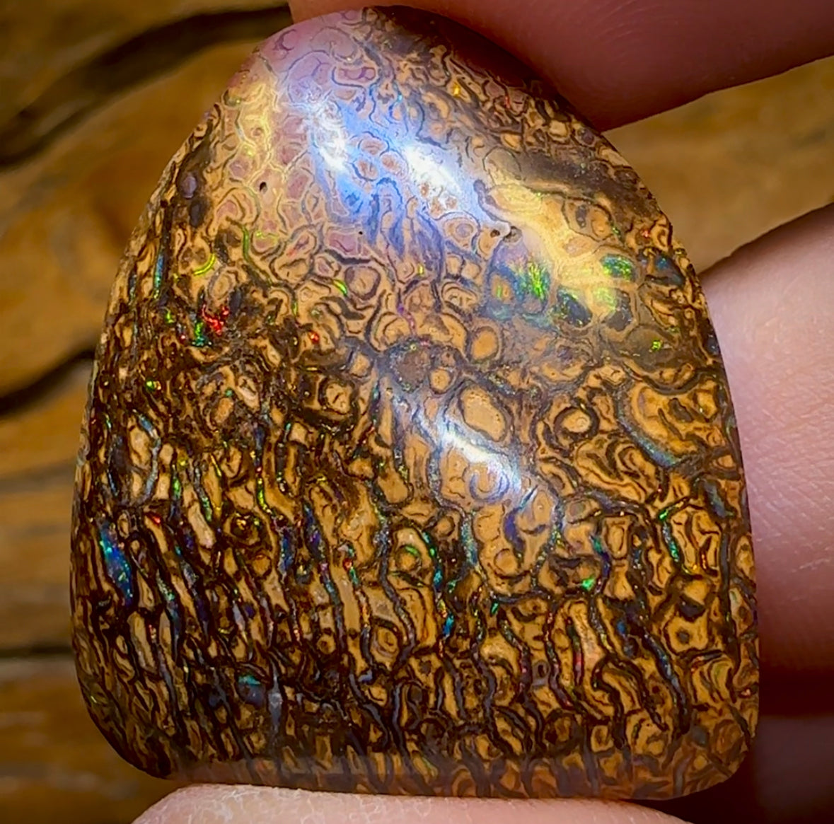 73.3cts - Queensland Boulder Opal from Yowah. Red Tribal