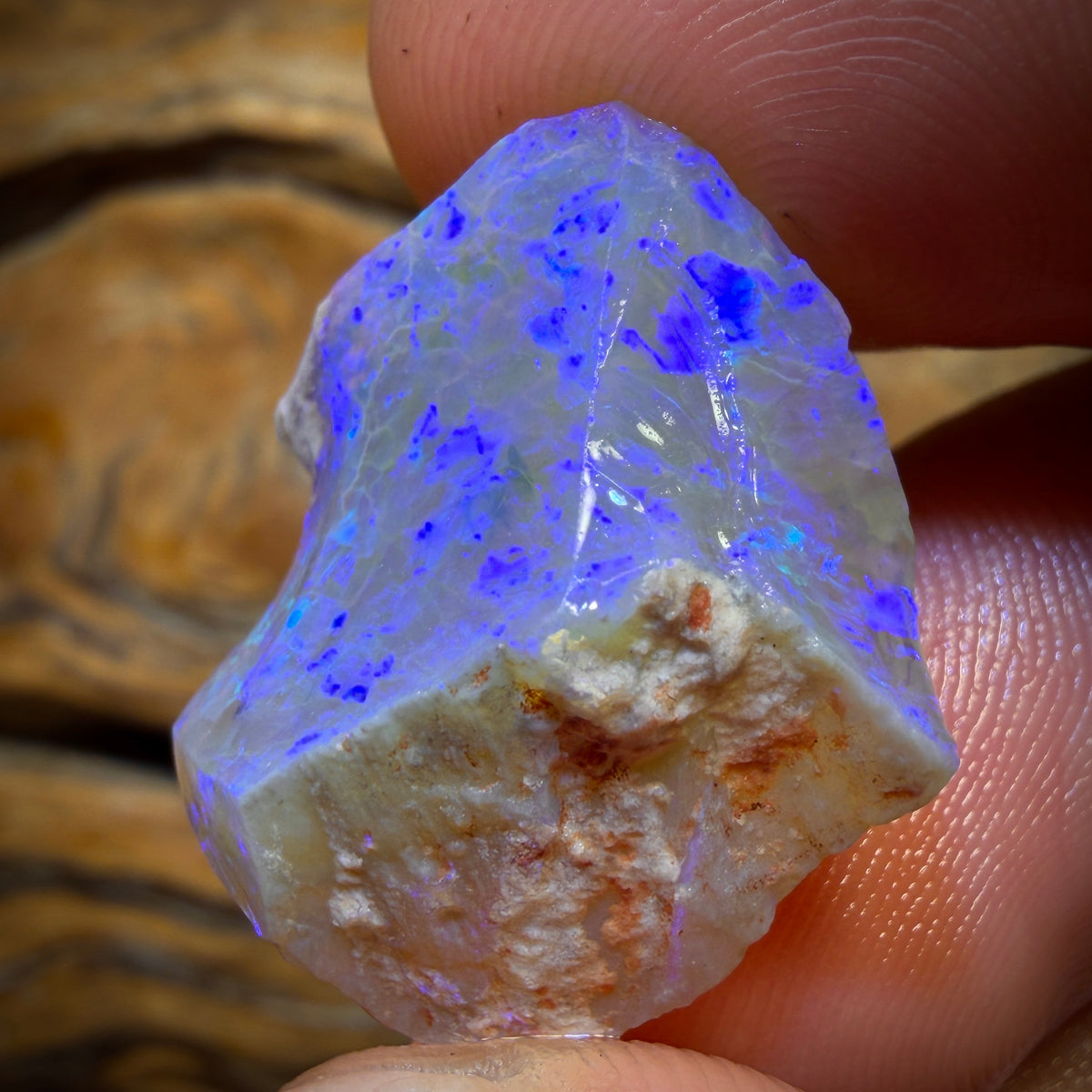25.2cts - Lightning Ridge Opal Rough Piece. Isaac’s Cutter’s!