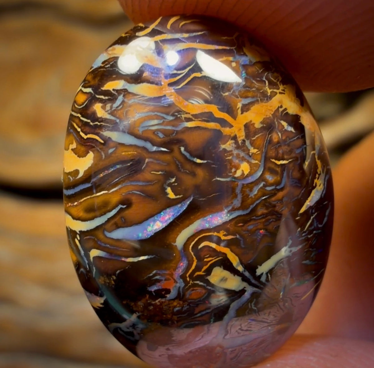 14.6cts - Top Tribal Queensland Boulder Opal from Koroit