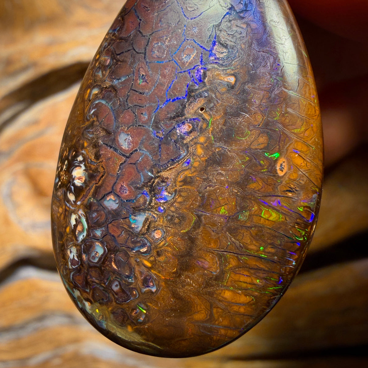 Wildcard! 39 x 25mm - Drilled Tribal Queensland Boulder Opal Necklace