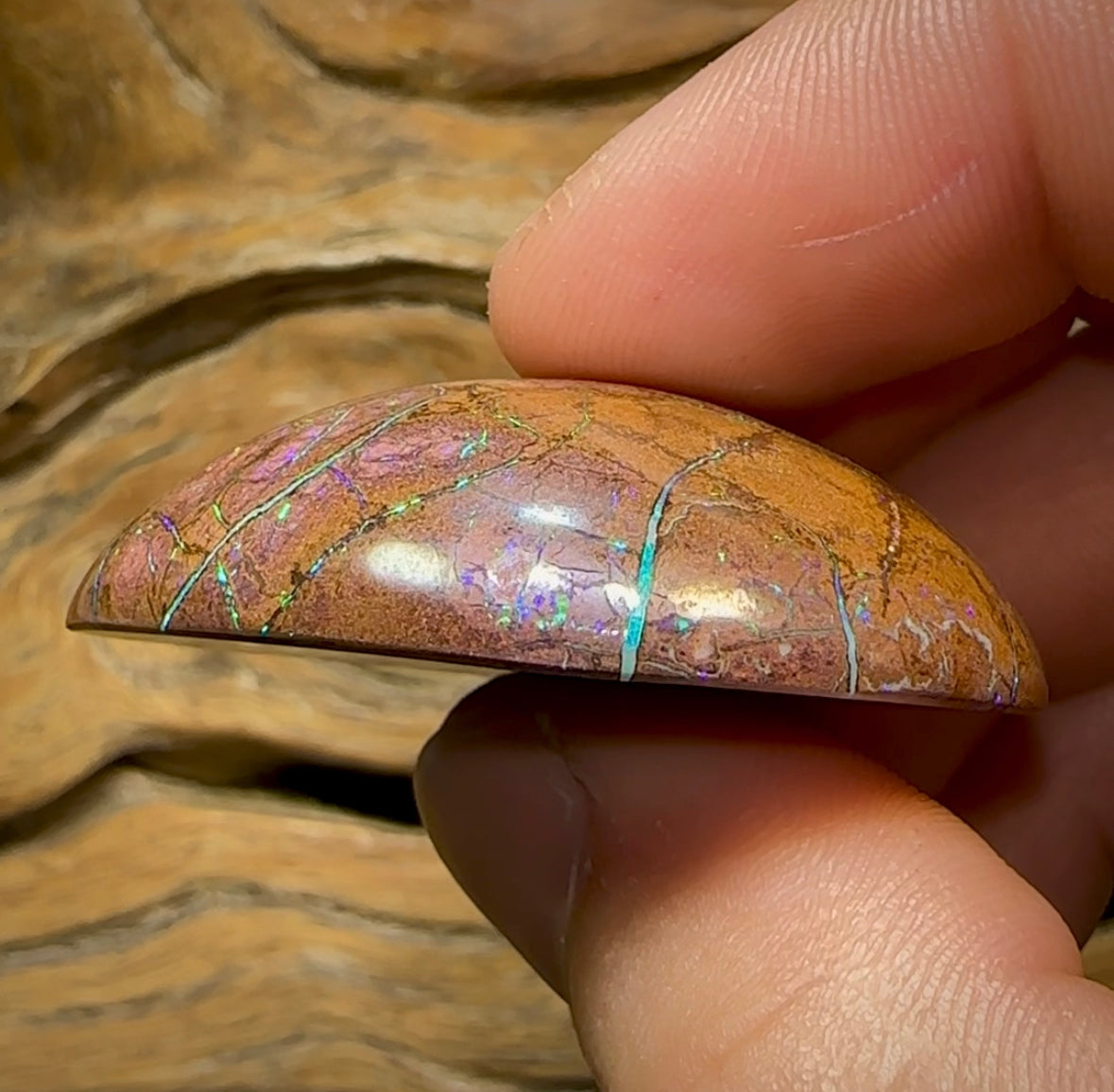 160cts - Large Yowah Nut Opal. Tribal Pattern - Opal Whisperers