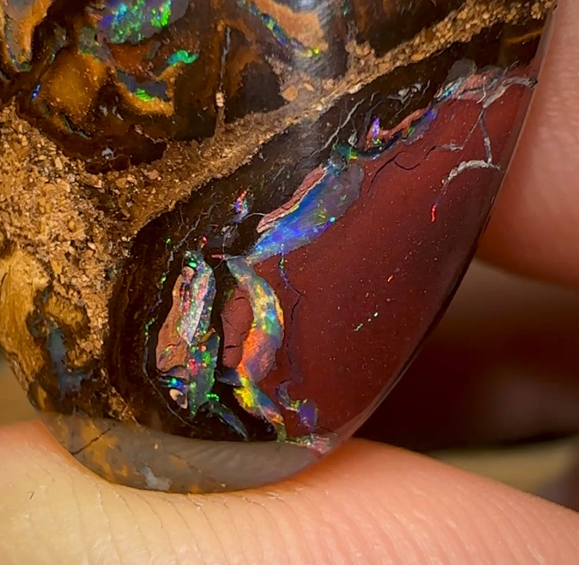 59.6cts - “Fruit cake” Koroit Nut Conglomeration Queensland Boulder Opal - Opal Whisperers