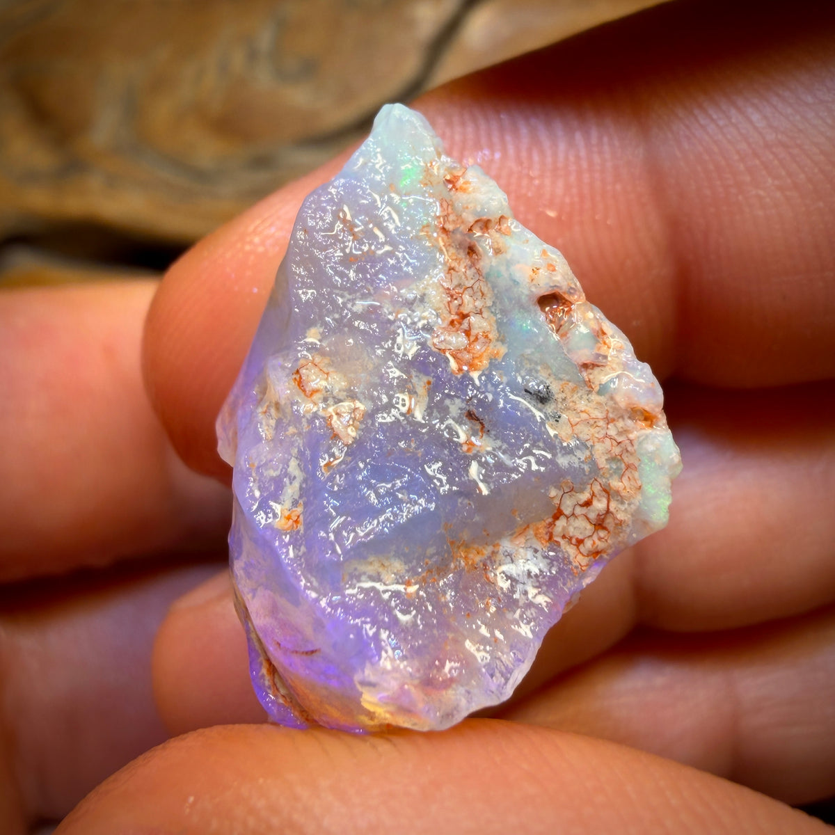 60.4cts - 2x Lightning Ridge Opal Rough Pieces