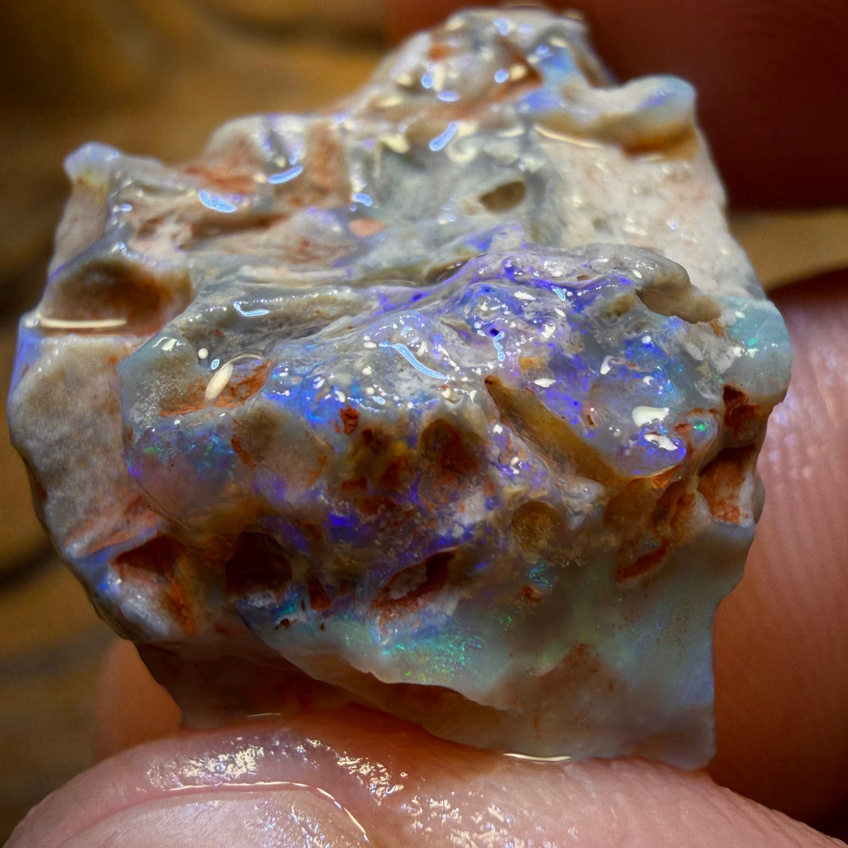 28.7cts - Lightning Ridge Dark Opal Rough Piece