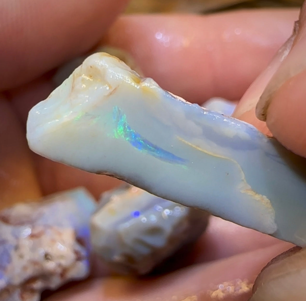 71.3cts - 5x Lightning Ridge Dark Opal Rough Parcel - Opal Whisperers