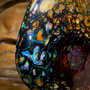 258.1cts - “Crazy Eyes” Top Tribal Yowah Nut Opal Pair. Double Sided