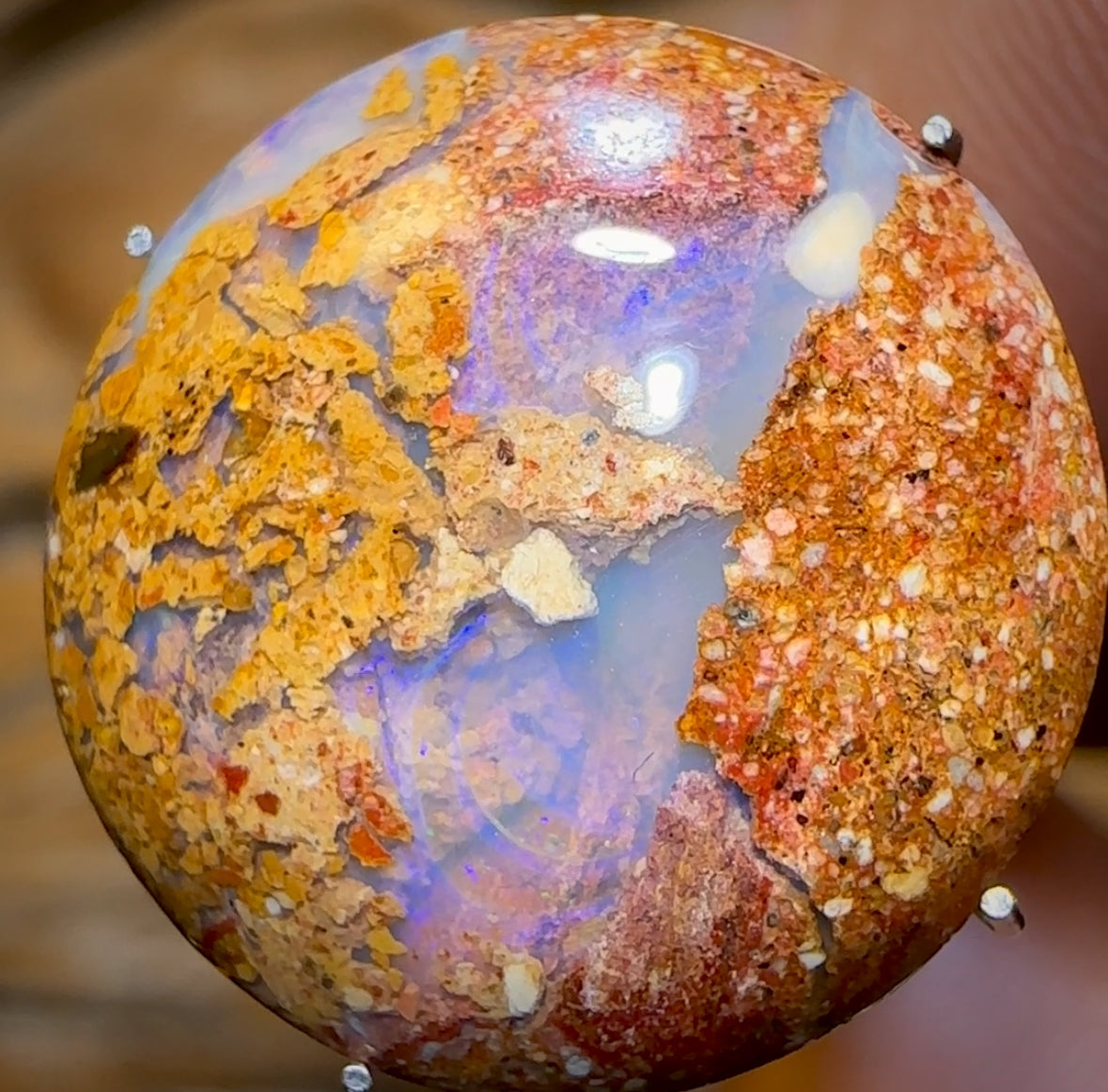 6.5cts - Solid Australian Boulder Pipe Opal BARGAIN