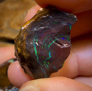 🔒 221,6 cts - Lot de 5 opales brutes Yowah Nut. Opale boulder australienne.