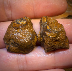 49.7cts - “Owl Eyes”Yowah Nut Partial Crystal Centre Rough Specimen Pair