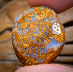 17.9cts - Boulder Pipe Opal Rub. Australian Opal