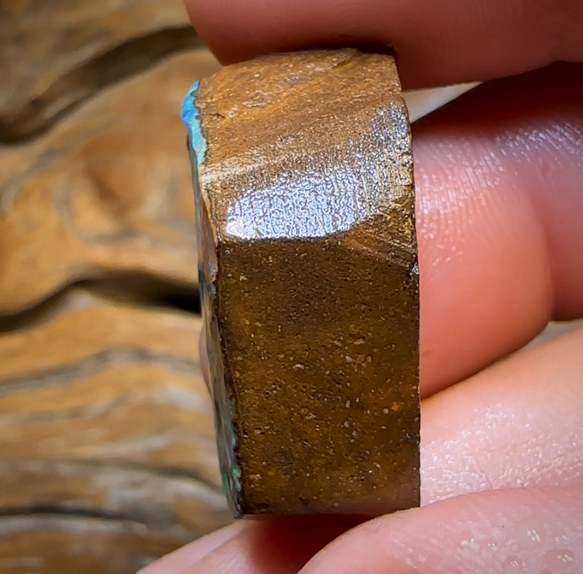 61.5cts - Queensland Boulder Seam Opal Rub