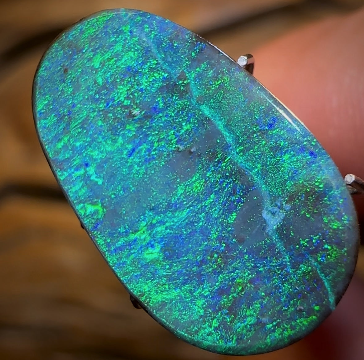 7.15cts - GEM Queensland Boulder Seam Opal Bargain