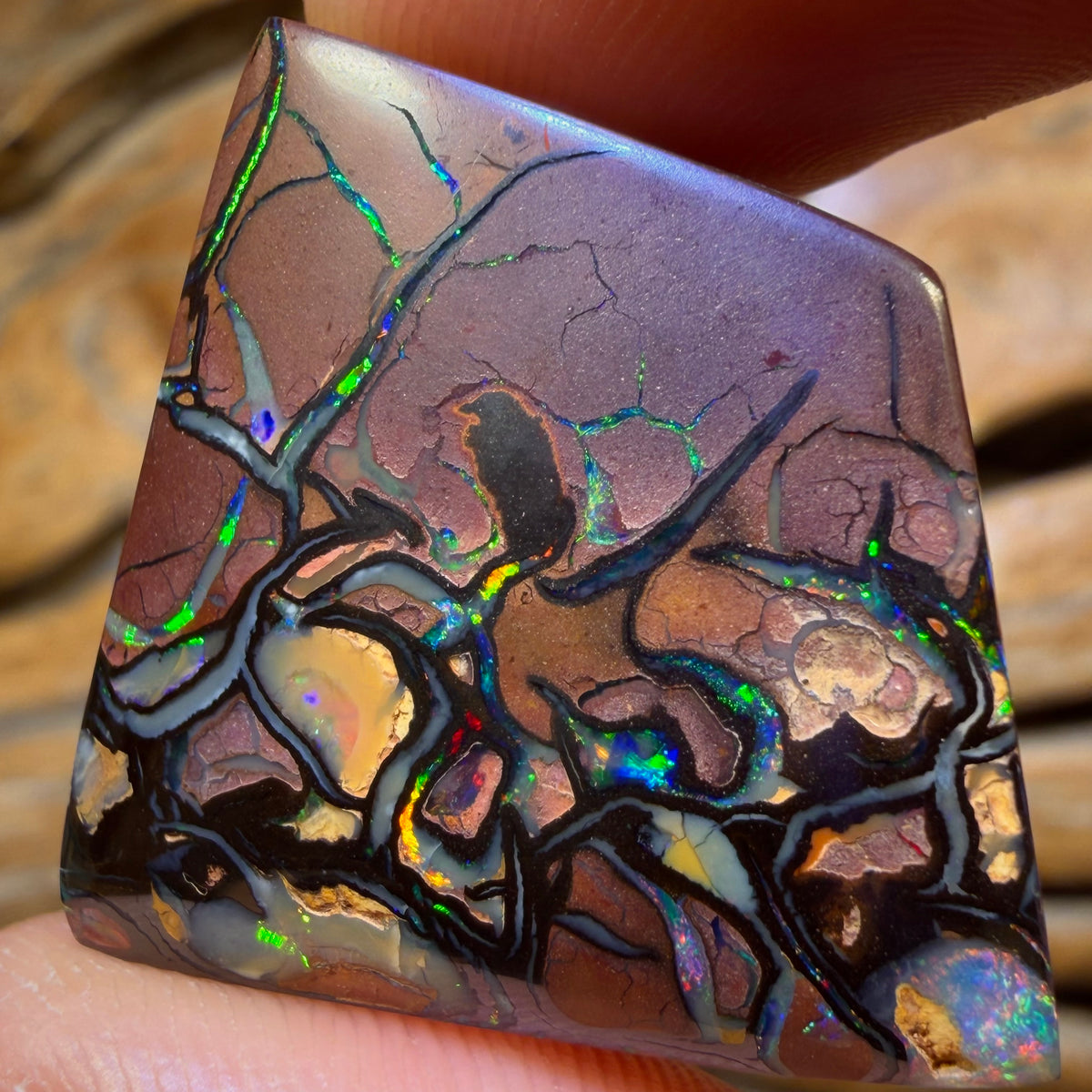 58.2cts -Top Tribal Queensland Boulder Opal from Yowah