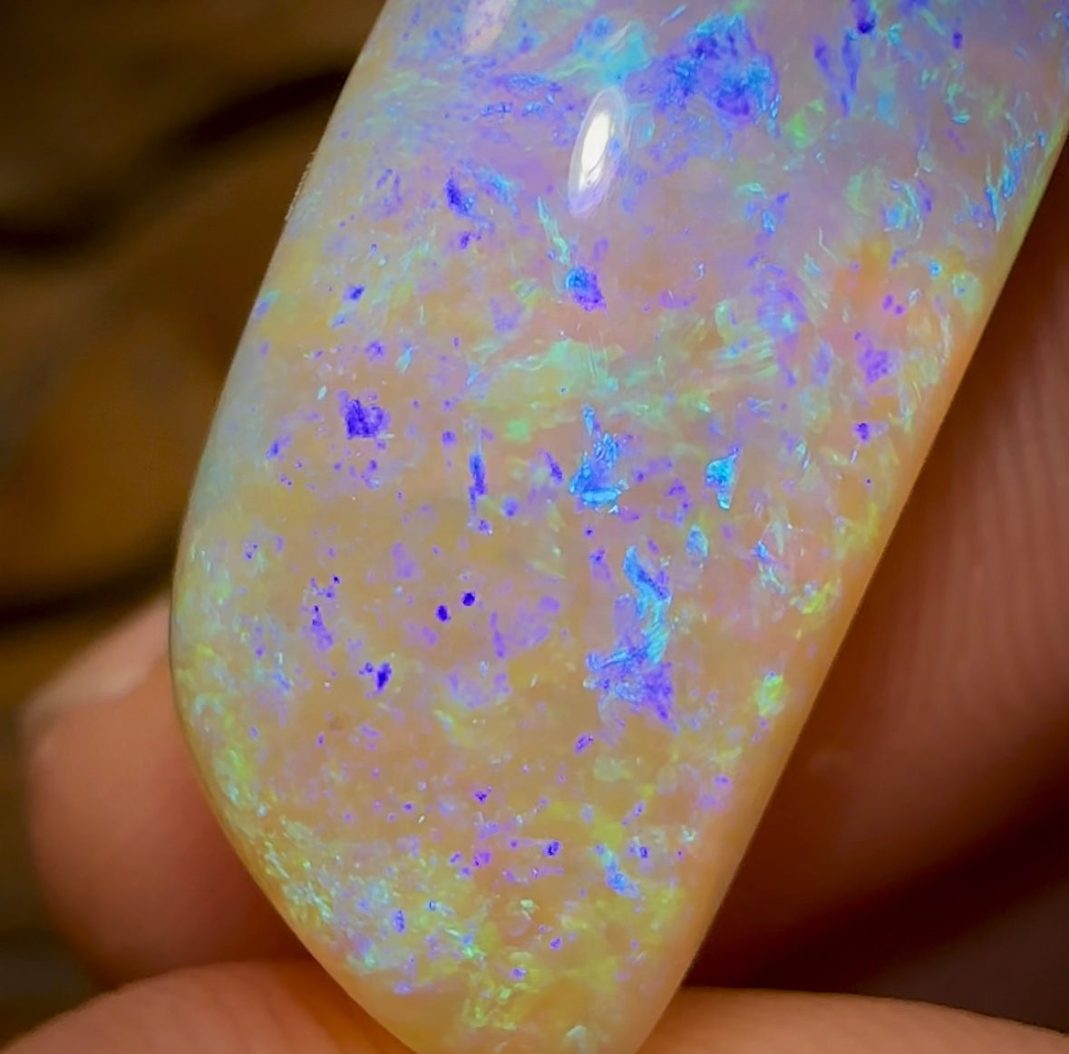 20.5cts - GEM Queensland Boulder Opal. THICK SEAM OPAL - Opal Whisperers