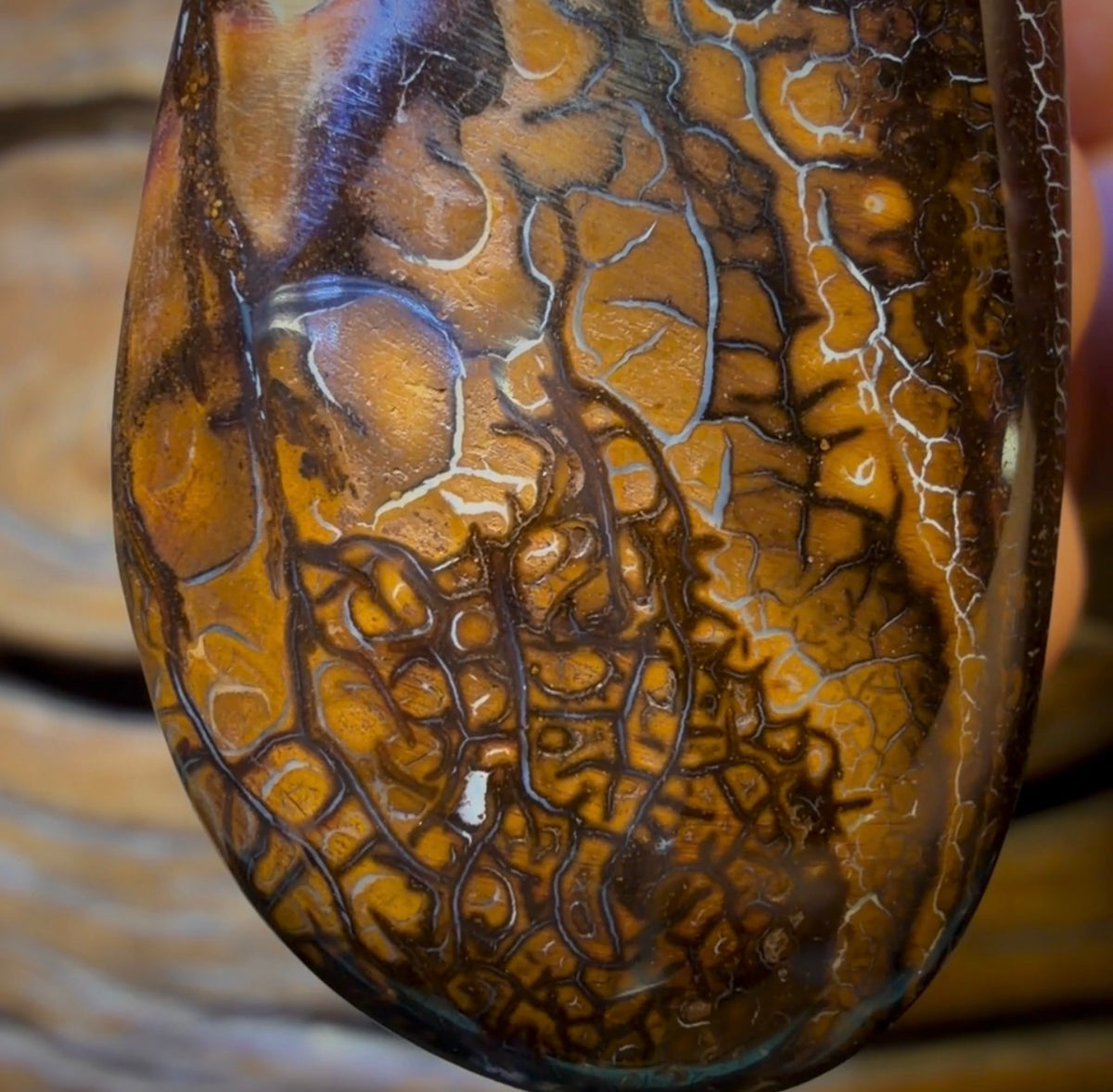 47 x 24mm - Drilled Boulder Opal Pendant w/ Eco Friendly Vegan Cord