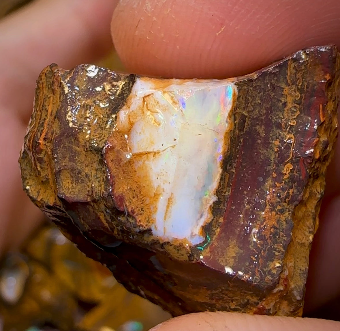 436.8cts - 12x Yowah Opal Rough Pieces. Australian Boulder Opal - Opal Whisperers