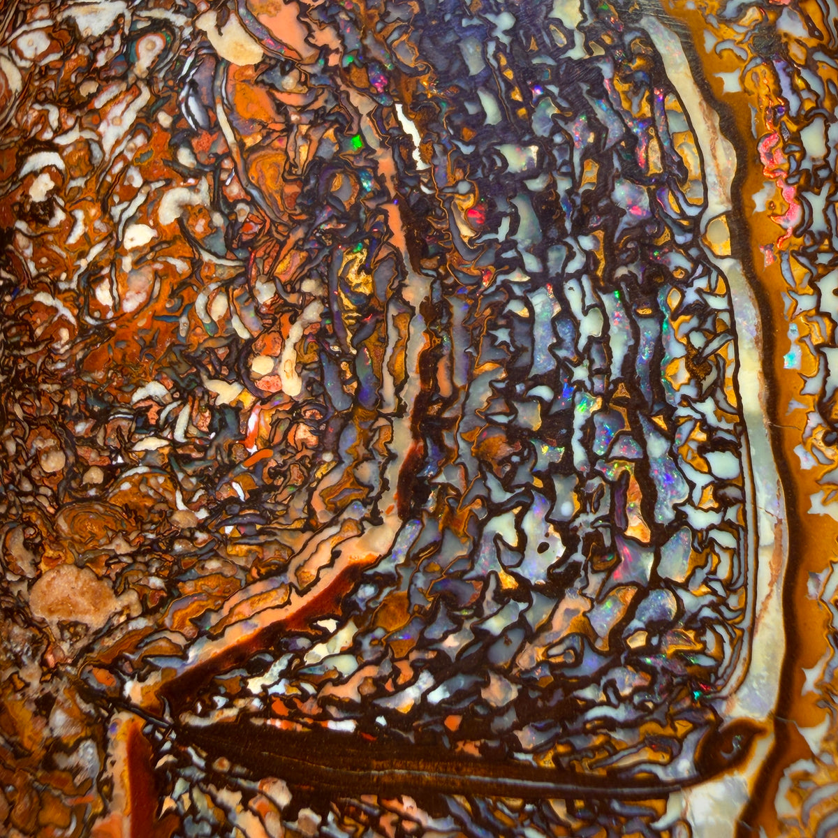 Art of Opal Card! 155cts - Large Tribal Queensland Boulder Opal from Yowah