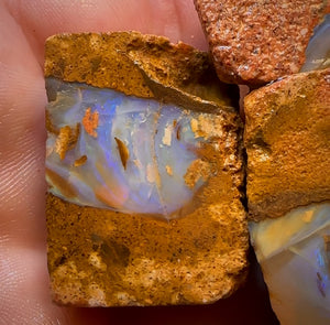 323.9cts - 3x Queensland Boulder Pipe Opal Rough Parcel