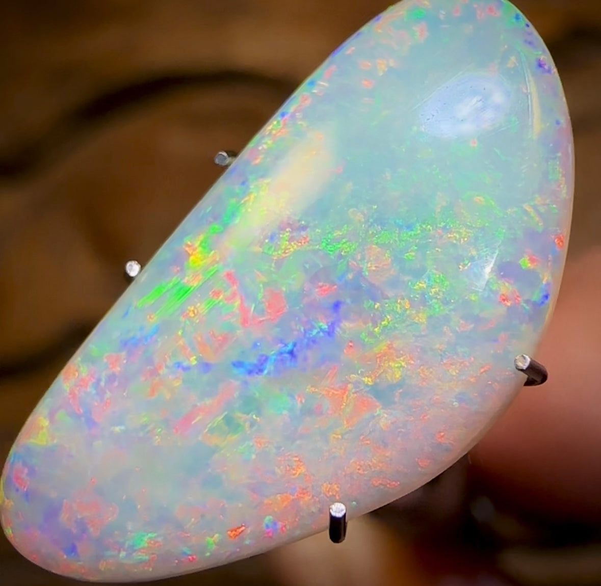 5.25cts - GEM QUALITY Lightning Ridge Crystal Opal - Opal Whisperers
