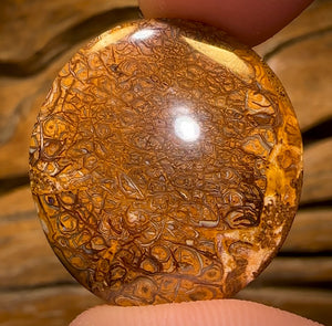 35.3cts - Tribal Australian Boulder Opal from Yowah