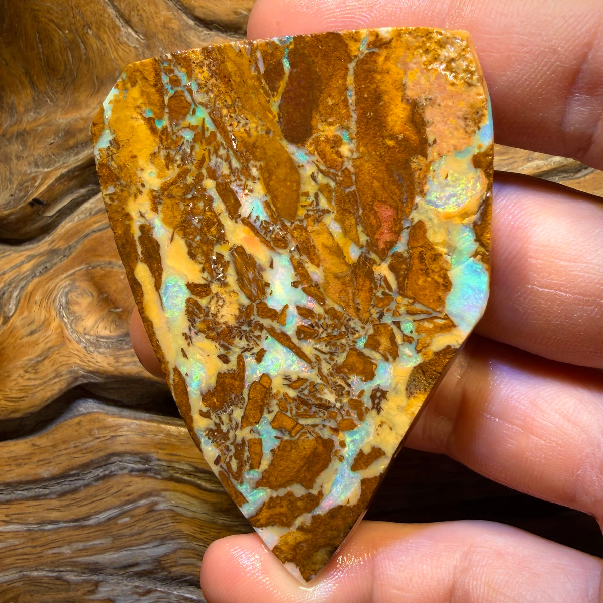 185.8cts - TOP Vegetation Fossil Replacement Boulder Opal Rub. Double Sided!