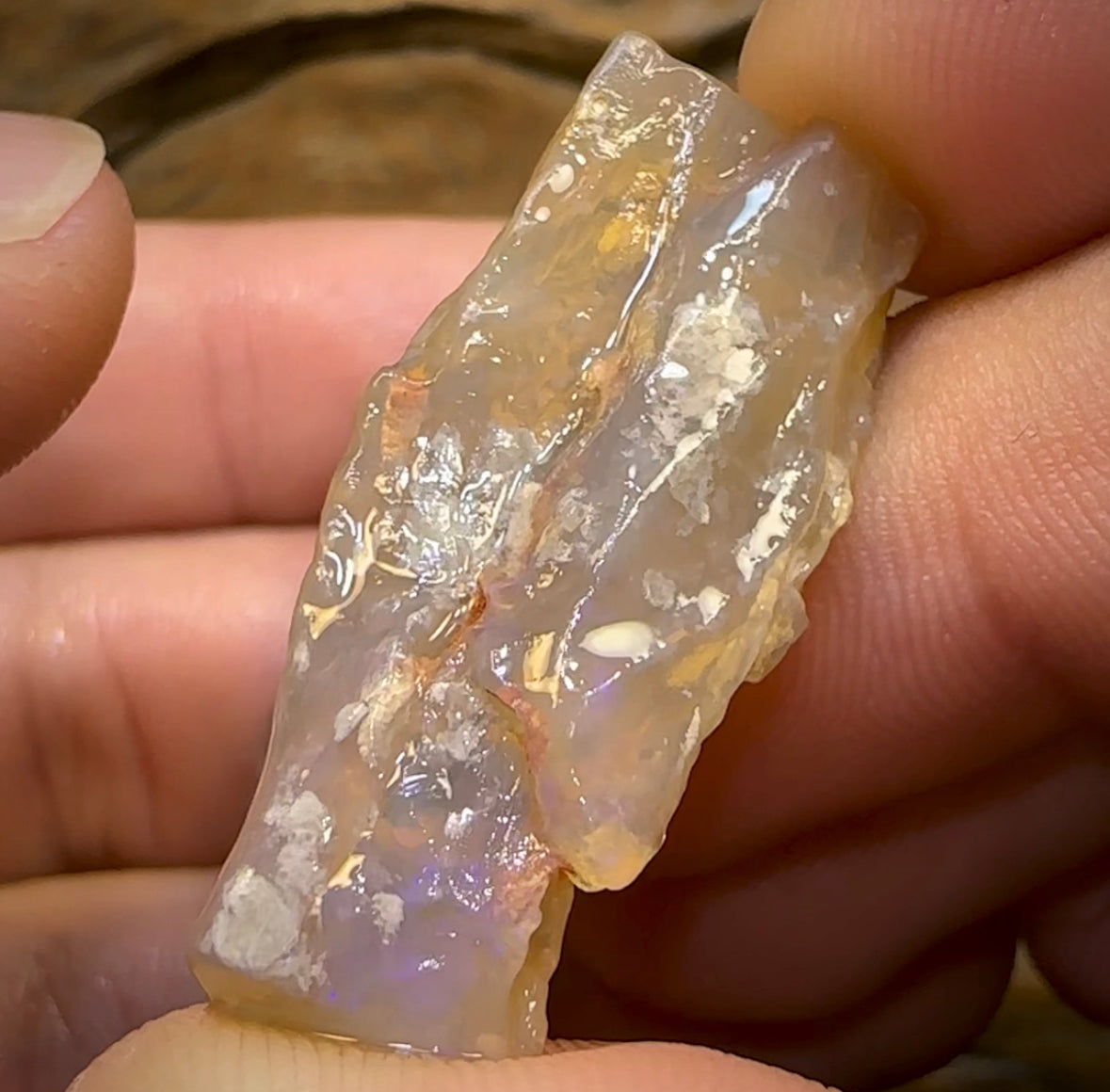 47.9cts - 2x Lightning Ridge Crystal and Dark Opal Fossil Rough Pieces - Opal Whisperers