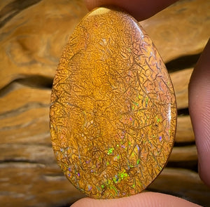 61.7cts - Tight Tan Tribal Yowah Nut Opal. Australian Opal